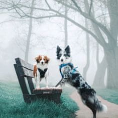 Truelove Črn oprsnik za majhne pse Truelove Strong Pups S