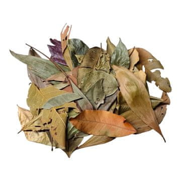 shumee BioThai Mix Leaves - Mešanica listov iz Tajske 20g