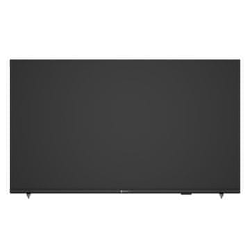AG Neovo AG neovo VA-5501 4K UHD monitor velikega formata