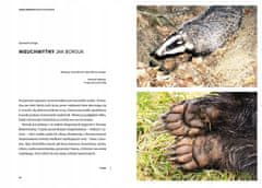 shumee Jazbec: Gospodar teme: Nepooblaščena biografija