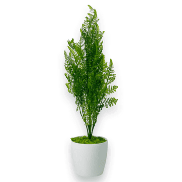 shumee Lončnica - Cipresa, lončnica zelene tuje 75 cm