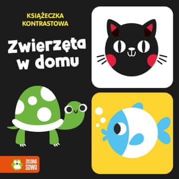 shumee Knjiga kontrastov za živali doma, Zelena sova