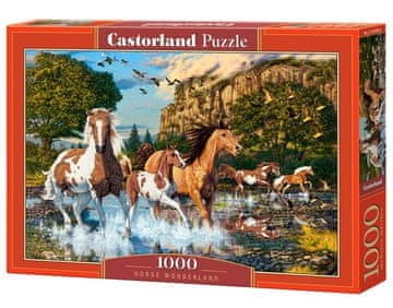 Castor 1000-delna sestavljanka. Čudežna dežela konj.