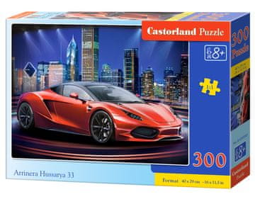 Castor 300-delna sestavljanka. Arrinera Hussarya 33