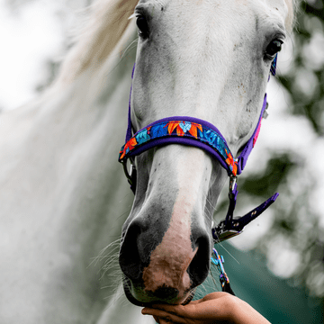 shumee Oblačila za galop Halter - Power Flower full