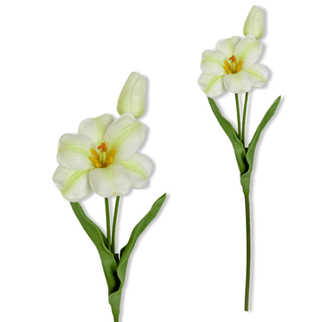 shumee Vejica - Penasti tulipan bel in zelen 53 cm