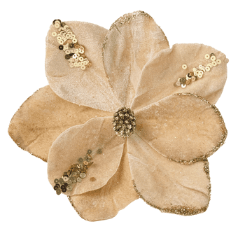 shumee Rože za božično drevo - šampanjska magnolija na 20 cm visokem palčku