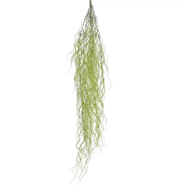 shumee Umetna viseča rastlina za terarij - BioPlant viseča Tillandsia 90 cm