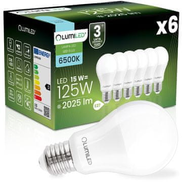 LUMILED 6x LED žarnica E27 A65 15W = 125W 2025lm 6500K hladno 260°