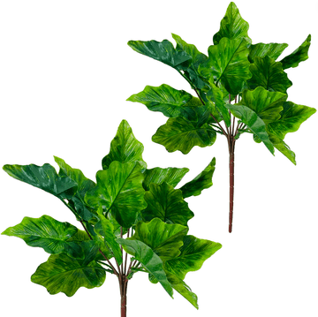 shumee Zelena alokazija - šopek listov alokazije, 38 cm visok klas