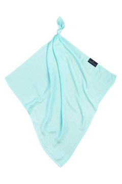 TEXPOL Bambusovi robčki za plenice 30x30 Aqua, Bamboo Line Texpol