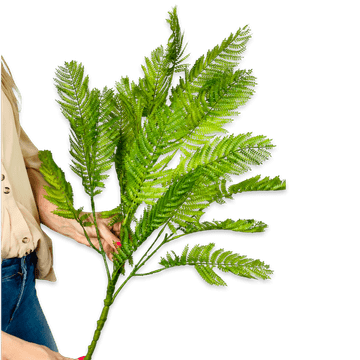 shumee Gumijasta praprot, zelena - šopek listov praproti 73 cm