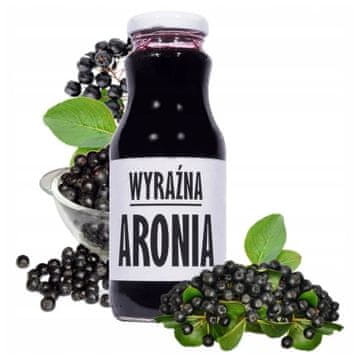 shumee Sadvit - Sok aronije Bistri sok aronije EKO 100% 250ml