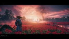 Sony Ghost of Tsushima: Director’s Cut (PS5)