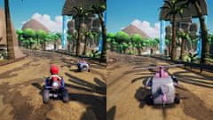 Outright Games PAW Patrol: Grand Prix (Playstation 4)