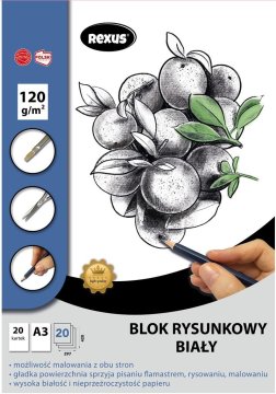 shumee Risalna blazinica A3/20K bela Premium