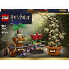 LEGO 76474 Harry Potter Rastline iz rastlinoslovja na Bradavičarki