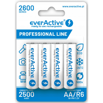 shumee R6 AKU 4BL Everactive 2600 professional