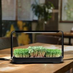 Bentech GreenBoost komplet za gojenje mikrozelenja