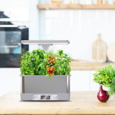 Bentech Smart Garden CM67 WiFi hidroponski cvetlični lonec