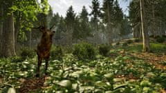 Aerosoft Park Ranger Simulator (Playstation 5)