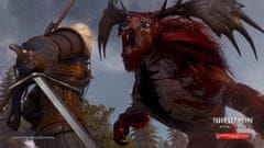 Cenega Igra Xbox Series The Witcher 3 Wild Hunt - Igra leta izdaja + obletnica Steelbook