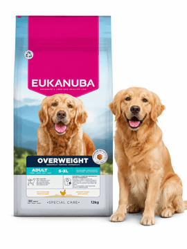 Eukanuba Daily Care hrana za odrasle pse s prekomerno težo, piščanec, 12 kg