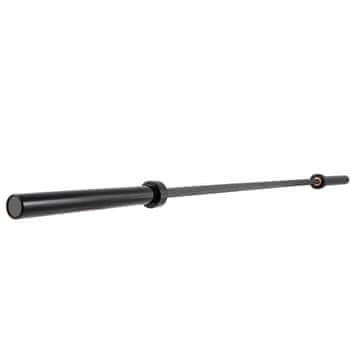 VEVOR Dvigovalna palica 2 m 15 kg siva