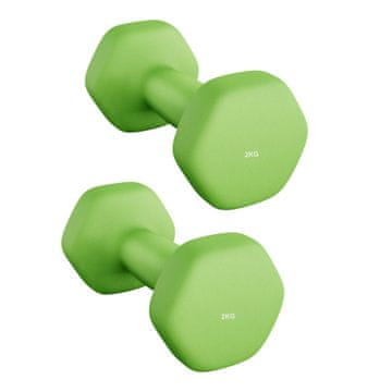 Songmics Set uteži 2 kosa 16x8 cm zelena