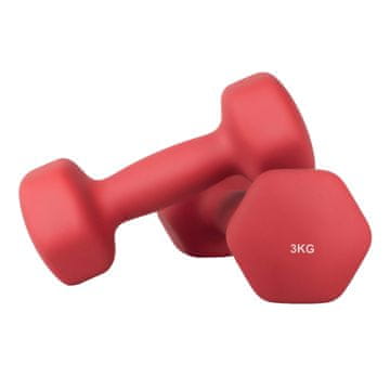 Songmics Set uteži 2 kosa 20x9 cm rdeča