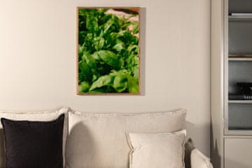 Venture Design Plakat Zeleni list 30x40 cm Zelen