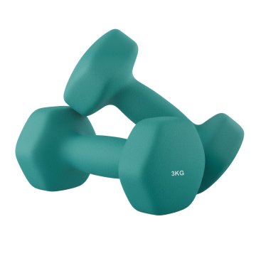 Songmics Set uteži 2 kosa 20x9 cm modra