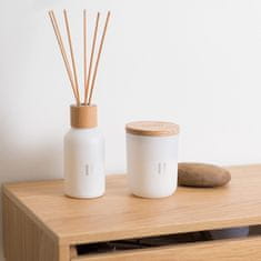 Homestar Dišeča sveča RENTO BIRCH