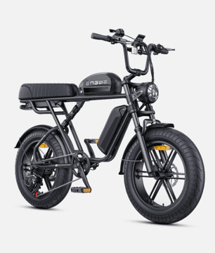Engwe ENGWE M1 z dvema baterijama – električno fat kolo 250 W, 65 Nm in doseg do 170 km