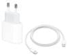Apple Starter Pack, 60 W USB-C kabel + 20 W napajalni adapter
