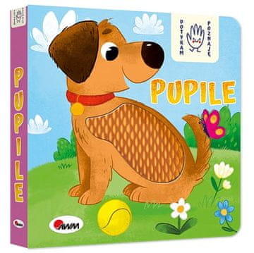 Dotikam se in prepoznam PETS, AWM
