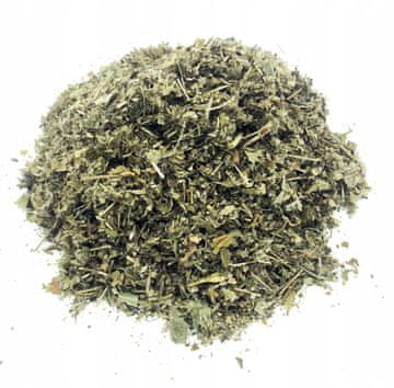 JAGODA Z ZELIŠČI 500 G 100%