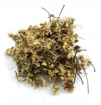 KOSTANJ CVET KOSTANJA 1 KG 100% NARAVNO