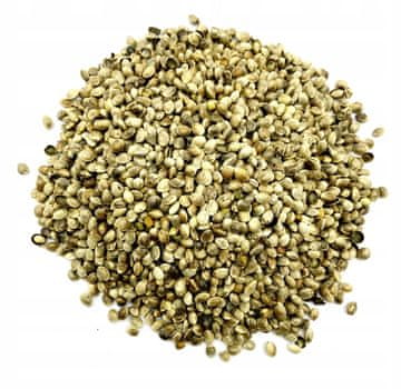 SEMENA KONOPLJE SEMENA KONOPLJE 500G NARAVNA TRGOVINA