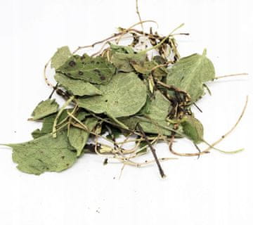 WEATHERBERRY ZELIŠČNI PYROLA 500G 100% NARAVNA TRGOVINA