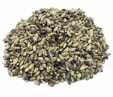 PEGENI BADALA SEMENA PEGENEGA BADALA 1 KG 100%