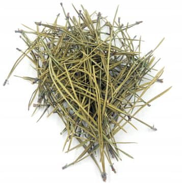 BOROVE IGLICE 200 G 100% NARAVNE
