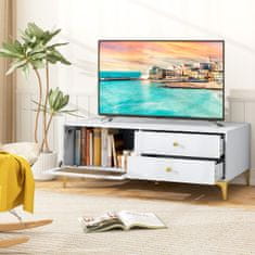 Costway TV regal za 55-palčni televizor z predali
