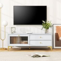 Costway TV regal za 55-palčni televizor z predali