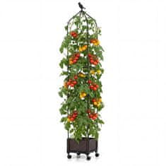 Costway Dvignjena vrtna gredica z obelisk trellis, samozalivalna