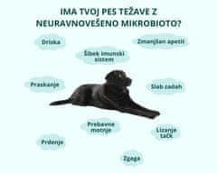 Fitocanin probiotični priboljšek za pse - biome forte (270 g, pribl. 90 kosov)