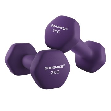 Songmics Set ročk, 2 x 2 kg, 16x8x7.5 cm, vijolična