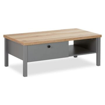 Homestyle4U Klubska mizica, 110x40,5x60 cm, siva, s prostorom za shranjevanje