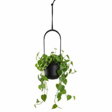 Home Viseči sadilnik AERA HANG, recikliranje, črn, 17,9 cm