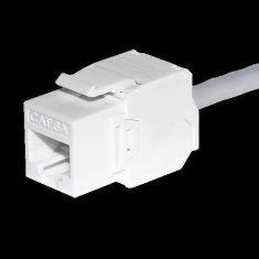 Keystone Jack RJ45 Cat. 6A UTP modul, brez orodja, bel,